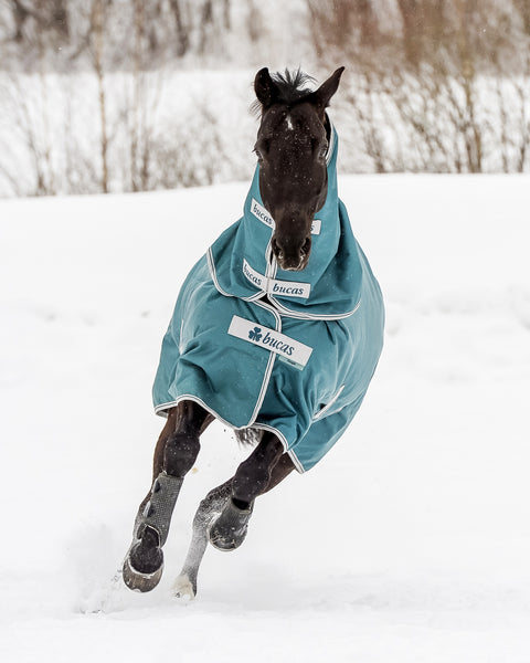 Bucas Atlantic 50 Gram Turnout Blanket