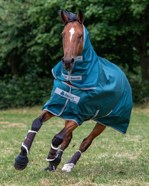 Bucas Atlantic Combi Neck Cover - 300 Grams