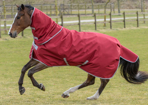 Bucas Irish Extra Classic Heavyweight Turnout Blanket