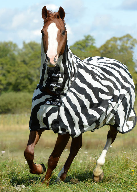 Bucas Buzz-Off Zebra Fly Sheet with High Neck