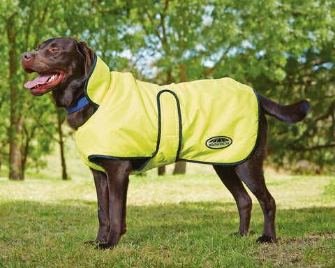 WeatherBeeta® Windbreaker 420D Deluxe Dog Coat - Yellow Black / 12 - Dog Clothing