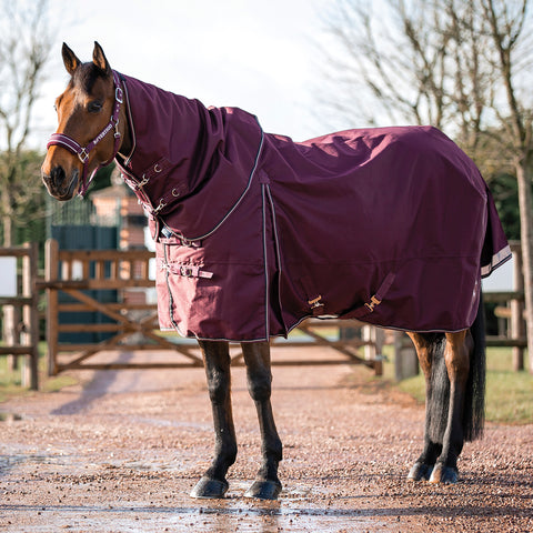 B Vertigo Georgina Medium-Weight Turnout Blanket