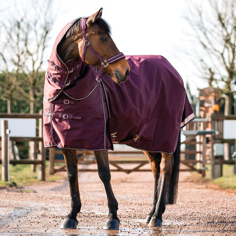 B Vertigo Georgina Medium-Weight Turnout Blanket