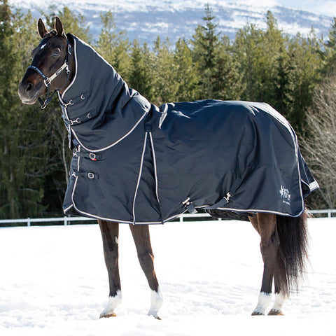 B Vertigo Georgina Medium-Weight Turnout Blanket