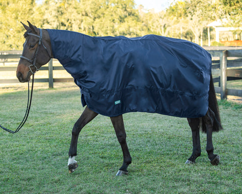 DS Rain Sheet