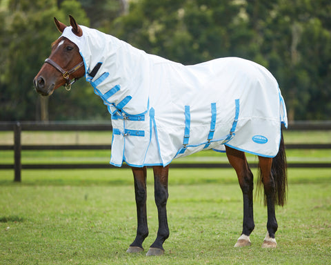 WeatherBeeta® Sweet Itch Shield with Combo Neck