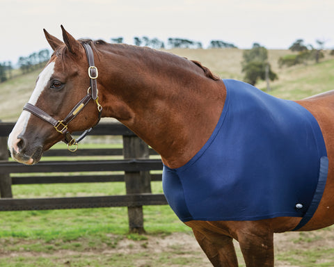 WeatherBeeta® Stretch Shoulder Guard