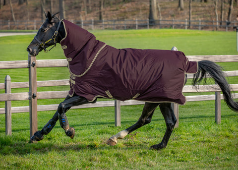 Horseware® Ireland Amigo® Hero Ripstop Plus 100 Gram Turnout Light Blanket - Fig/Navy/Tan / 66 - Turnout Blankets