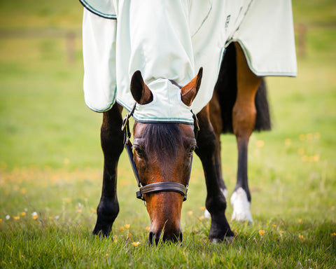 Horseware® Ireland Rambo® Hoodie