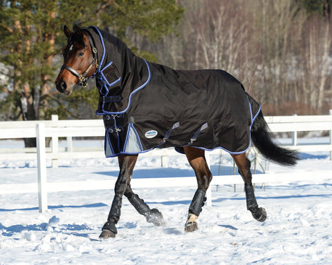 WeatherBeeta® ComFiTec™ Ultra Cozi II Detach-A-Neck Medium-Weight Turnout Blanket