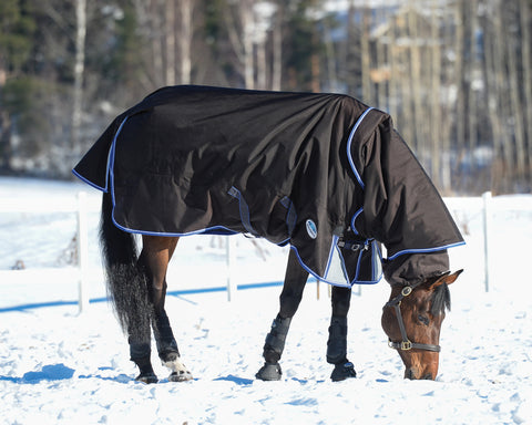 WeatherBeeta® ComFiTec™ Ultra Cozi II Detach-A-Neck Medium-Weight Turnout Blanket
