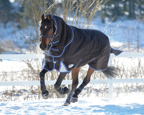 WeatherBeeta® ComFiTec™ Ultra Cozi II Detach-A-Neck Medium-Weight Turnout Blanket