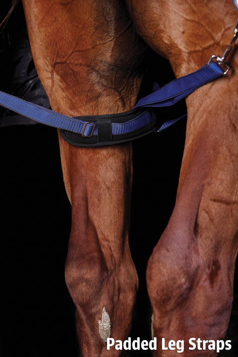 WeatherBeeta® ComFiTec™ Ultra Cozi II Detach-A-Neck Medium-Weight Turnout Blanket