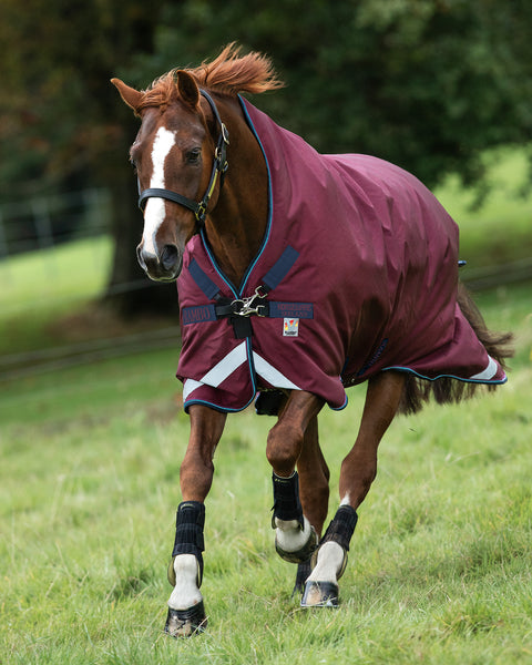 Horseware® Ireland Rambo® Wug® Medium-Weight Turnout Blanket - Burgundy/Burgundy/Teal/Navy / 66 - Turnout Blankets