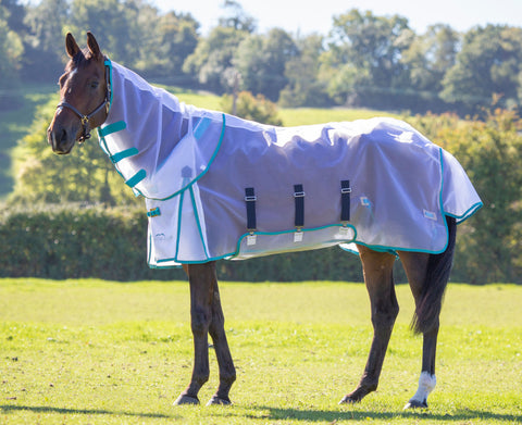 Shires Mesh Fly Sheet & Neck Cover
