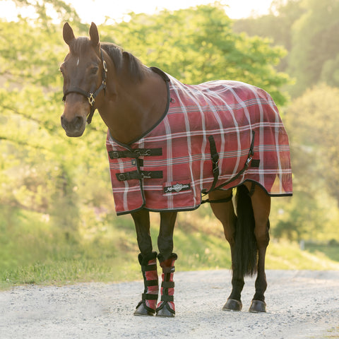 Kensington™ Pony Protective Sheet SureFit®