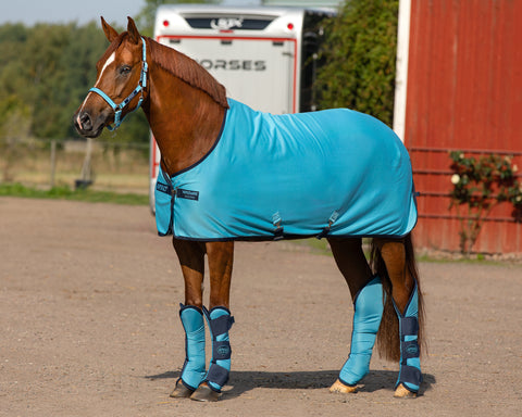 Horseware® Ireland Amigo® Jersey Cooler with Removable Cross Surcingles