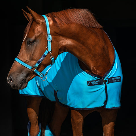 Horseware® Ireland Amigo® Jersey Cooler with Removable Cross Surcingles