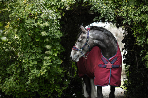 Horseware® Ireland Rambo® Helix Stable Sheet with Disc Front Closure