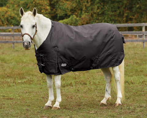 Rider’s International™ Pony Turnout Sheet