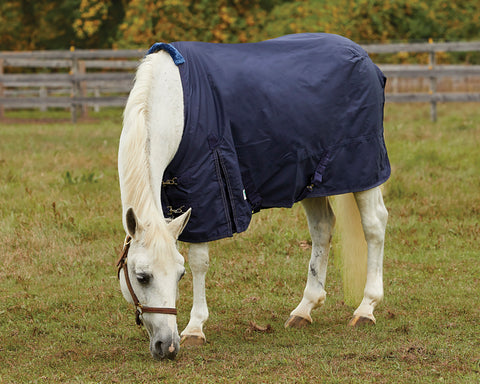 Rider’s International™ Pony Turnout Sheet