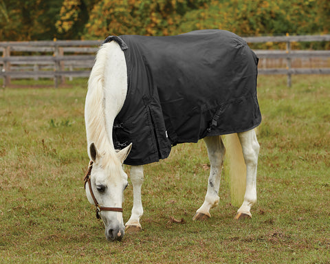 Rider’s International™ Pony Turnout Sheet