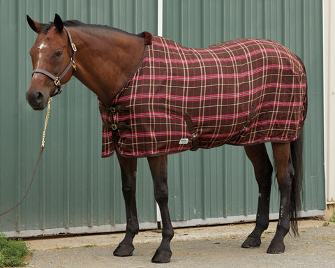 Rider’s International™ Stable Sheet