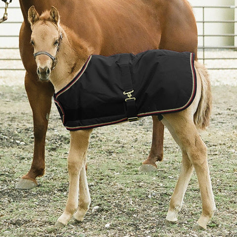 Kensington™ Signature Adjustable Small Foal Turnout Blanket
