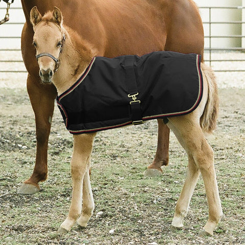 Kensington™ Signature Adjustable Large Foal Turnout