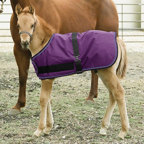 Kensington™ Signature Adjustable Large Foal Turnout