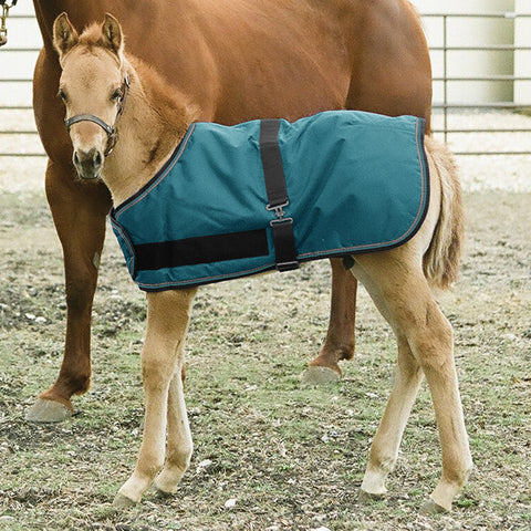 Kensington™ Signature Adjustable Large Foal Turnout