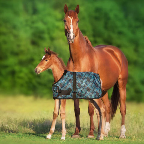 Kensington™ Signature Adjustable Large Foal Turnout