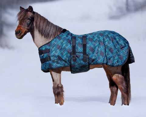 Kensington™ Signature Mini Medium-Weight Turnout Blanket