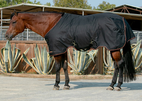Kensington™ Signature Lightweight Turnout Blanket