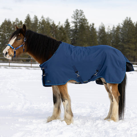 Kensington™ Signature Draft Lightweight Turnout Blanket