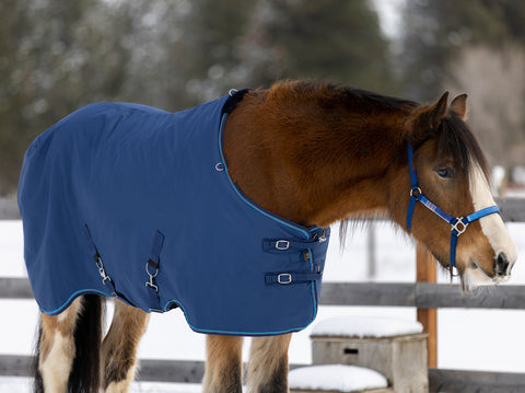 Kensington™ Signature Draft Lightweight Turnout Blanket