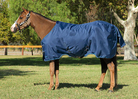 Kensington™ Pony Signature Medium Weight Turnout Blanket