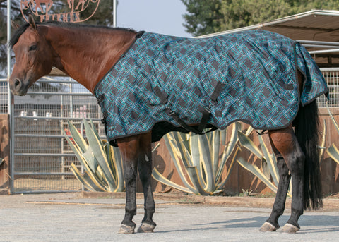 Kensington™ Pony Signature Medium Weight Turnout Blanket