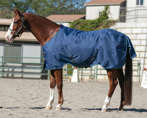 Kensington™ Signature Medium-Weight Turnout Blanket