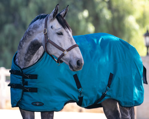 Kensington™ Signature Medium-Weight Turnout Blanket