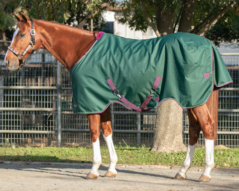 Kensington™ Signature Medium-Weight Turnout Blanket