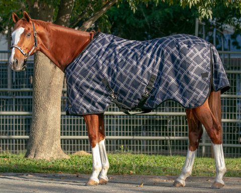 Kensington™ Pony Signature Heavyweight Turnout Blanket