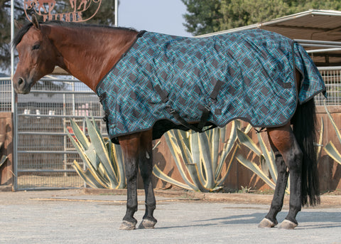 Kensington™ Pony Signature Heavyweight Turnout Blanket