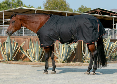 Kensington™ Pony Signature Heavyweight Turnout Blanket