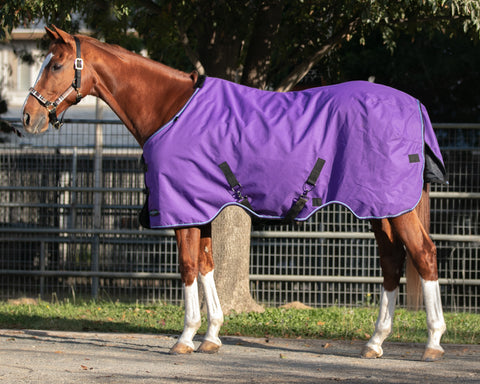 Kensington™ Signature Heavyweight Turnout Blanket