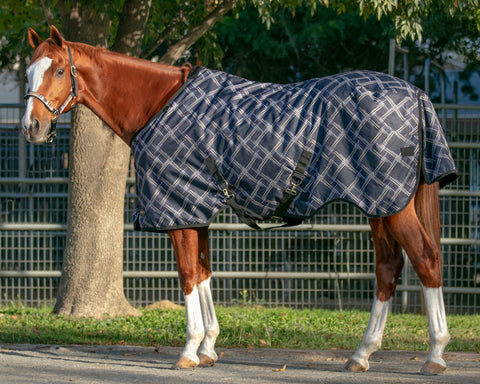 Kensington™ Signature Heavyweight Turnout Blanket