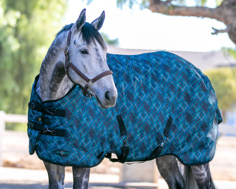 Kensington™ Signature Heavyweight Turnout Blanket