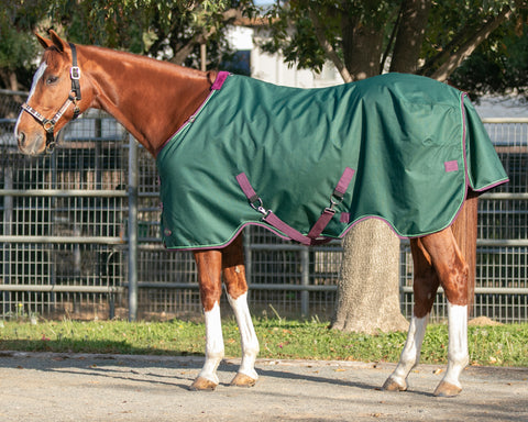 Kensington™ Pony Signature Heavyweight Turnout Blanket
