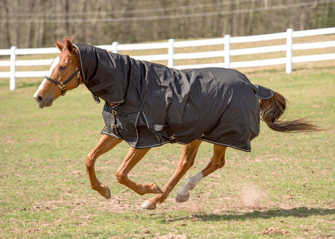 TuffRider® 600D Comfy Medium-Weight Turnout Blanket with Combo Neck
