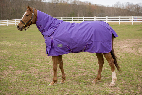 TuffRider® 600D Comfy Medium-Weight Turnout Blanket with Combo Neck